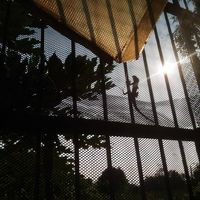 Woraphong Wechamaleenonda