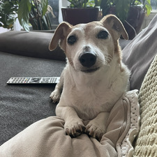 Doris