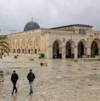 سهيل البيضاوي