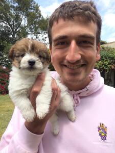 Daniel Volak