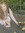 Chantel | 1 comments