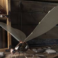 Светлозар Янков