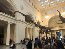 Marco Rodríguez Barrón 