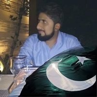 Saifuddin Zulfiqar Ali