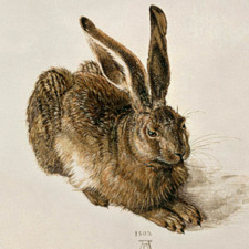 72bf5f83-1b9b-4084-bc4b