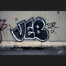 Jeb
