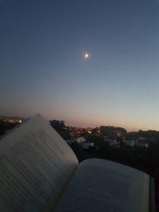 Moon_books