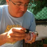 Mehmet Anil