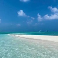 سماح السلطاني