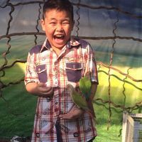 ต้นกล้า ต้นกล้า