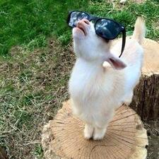 Zen
