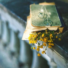 نَدَىٰ صِدِّيق