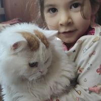 Шахноза ганиева