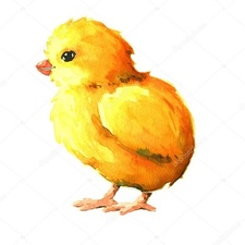 Enora