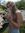 Malin B...