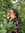 member photo member photo