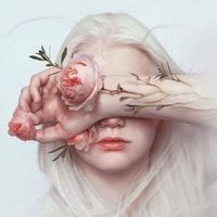 د.مرفت شفيق