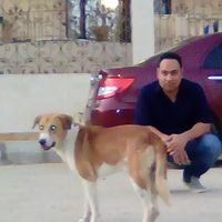 Sharif Yosri