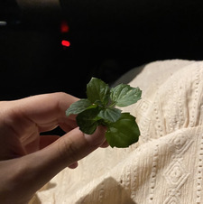 الشيماء حمدان