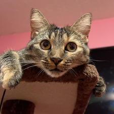 Sofia ☀️&#x1f493;&#x1f913;&#x1f60e;