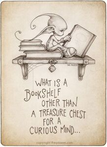 kittykat AKA Ms. Tortitude