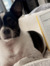 Daisy R...