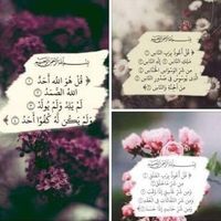 الاستاذ وليد