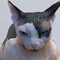 แสงสว่าง ของดวงจันทร์