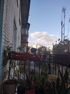 Лобарєва Надія