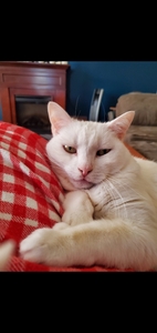 Jenny