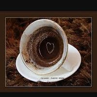 قارئة الفنجان