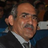 ناصر العزبي