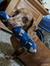 Lacey S...