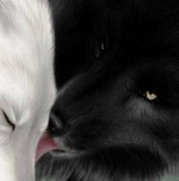 Sonya Applegate Blankenship