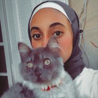 Shahd Tamer