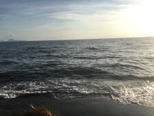 NevergettoreadasmuchasaIwant