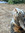 Lezah  | 1 comments