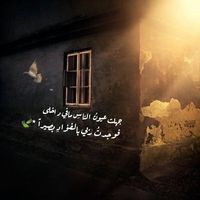 Ahmed Arafa