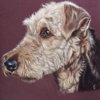 Deborah Rycroft
