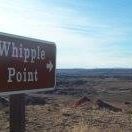 Pablo Whipple