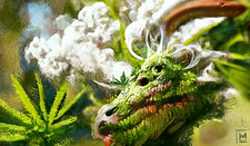 ✡Weed Dragon✡