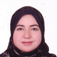 Noha Elassy