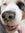 Josefine