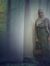 Doaa Samir