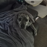 SkylarBlue - The United States (771 books)