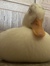 my duck