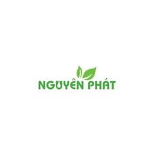 Trần gỗ Nguyên Phát