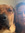 member photo member photo
