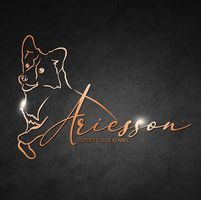 Ariesson Border Collie