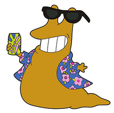 Slurms MacKenzie